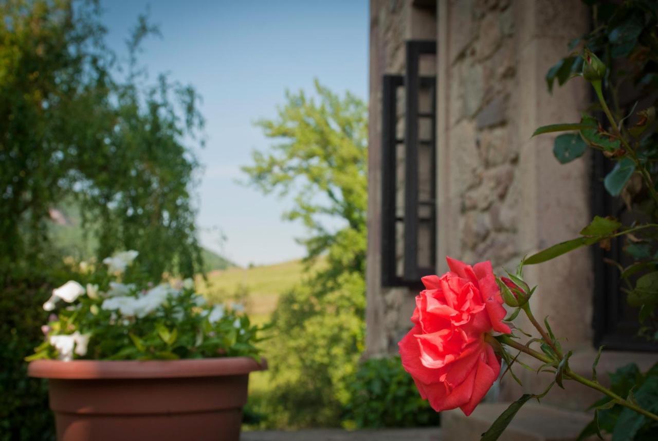 El Molino De Cicera Guest House Exterior photo